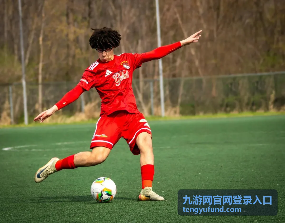 九游网官网登录入口界面与服务安全示意
