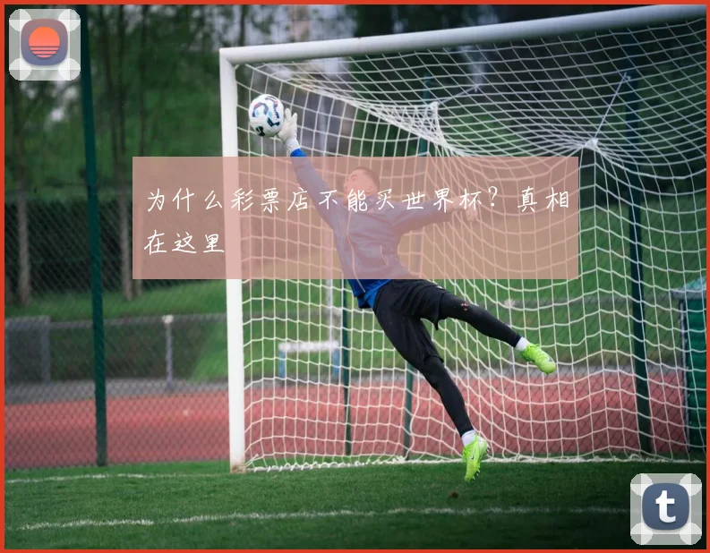 为什么彩票店不能买世界杯？真相在这里