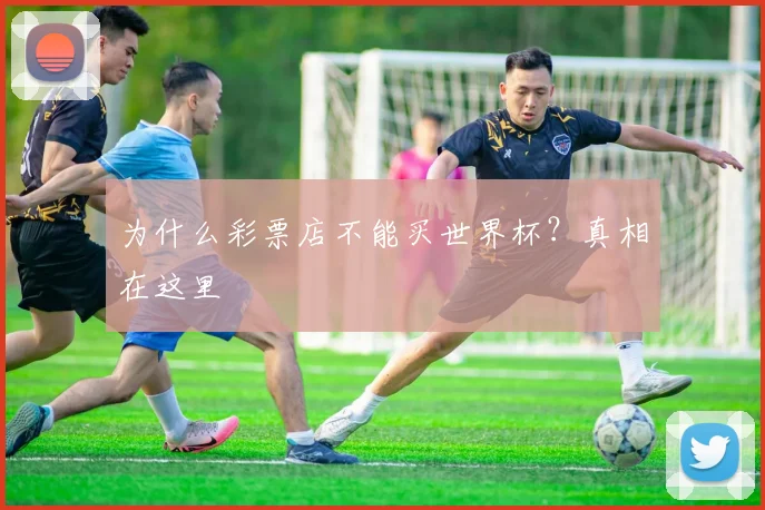 为什么彩票店不能买世界杯?真相在这里