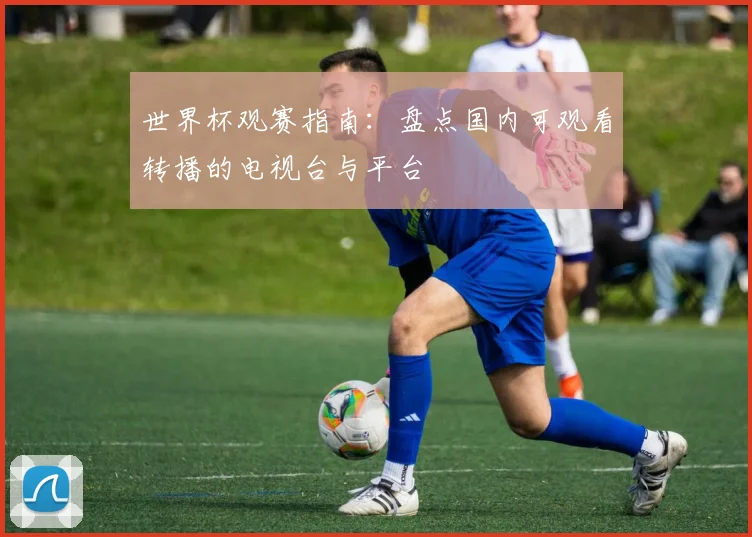 世界杯观赛指南：盘点国内可观看转播的电视台与平台