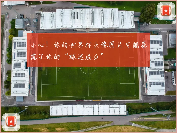 小心！你的世界杯头像图片可能暴露了你的“球迷成分”