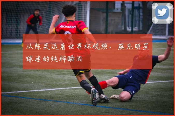 从陈奕迅看世界杯视频，窥见明星球迷的纯粹瞬间