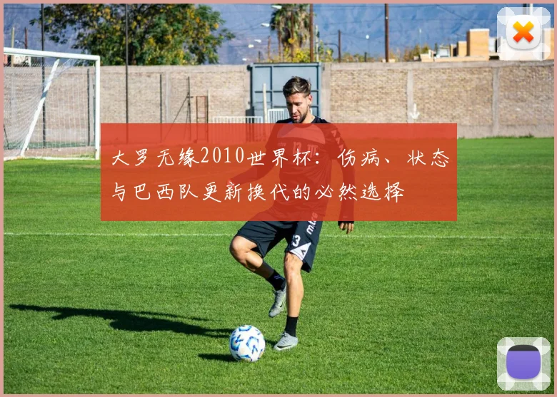 大罗无缘2010世界杯：伤病、状态与巴西队更新换代的必然选择